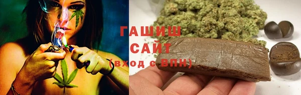 сатива Карпинск