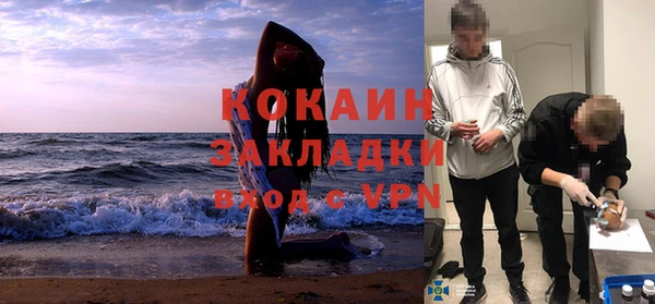 дживик Касимов