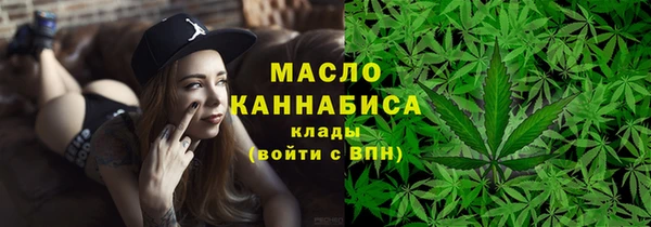 сатива Карпинск